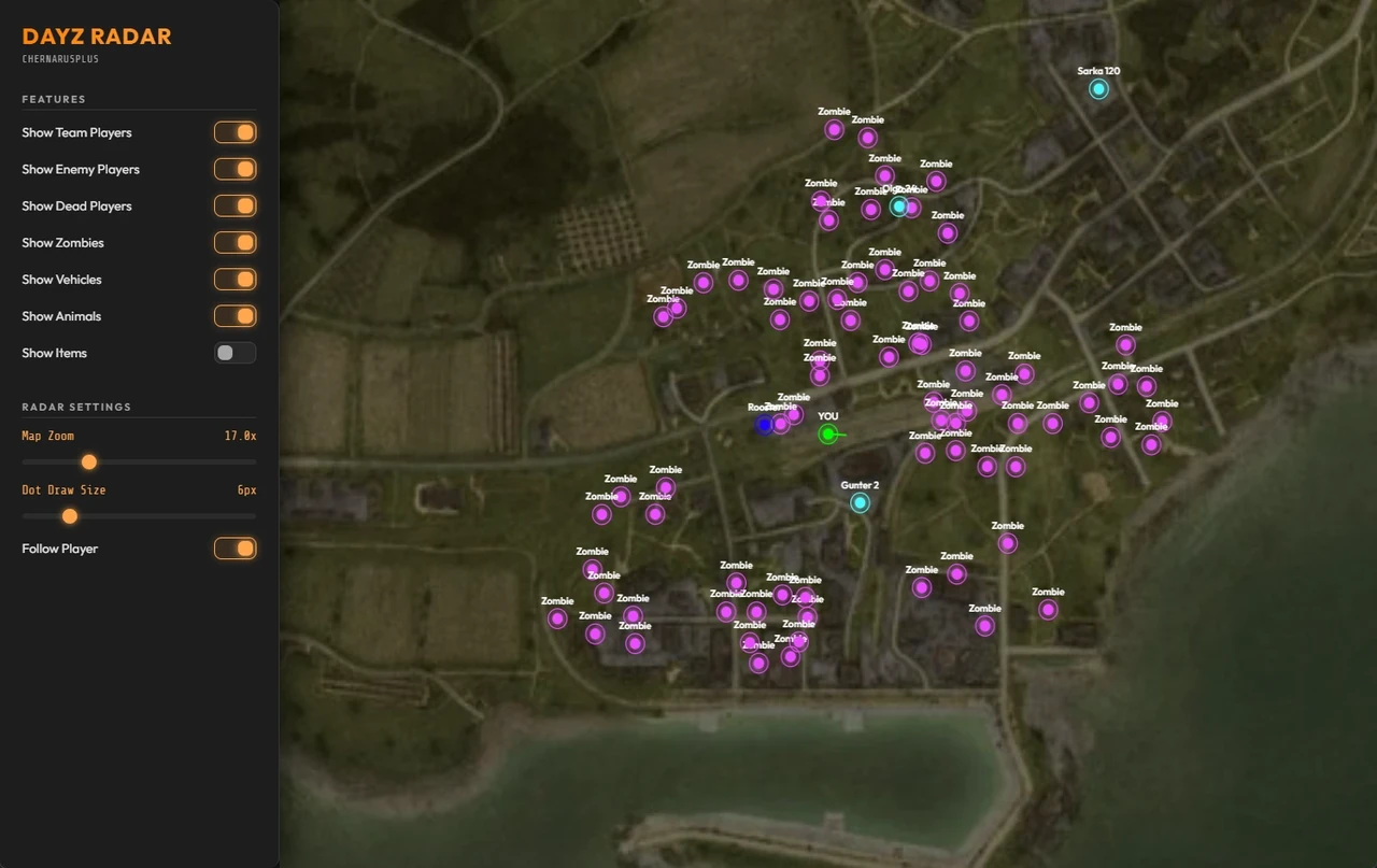ELEVATED DAYZ DMA Cheat-Menü, Screenshot 1