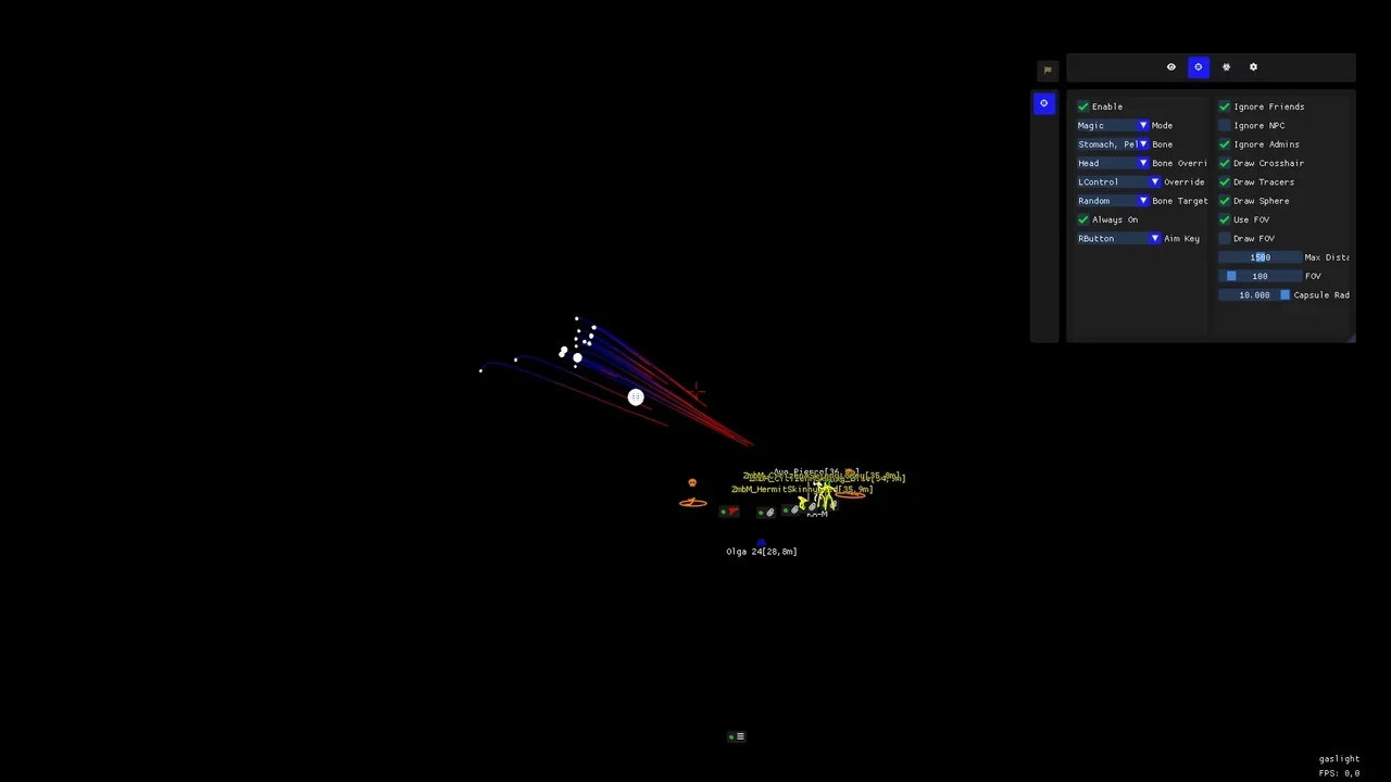 GS DAYZ DMA cheat menu, screenshot 1