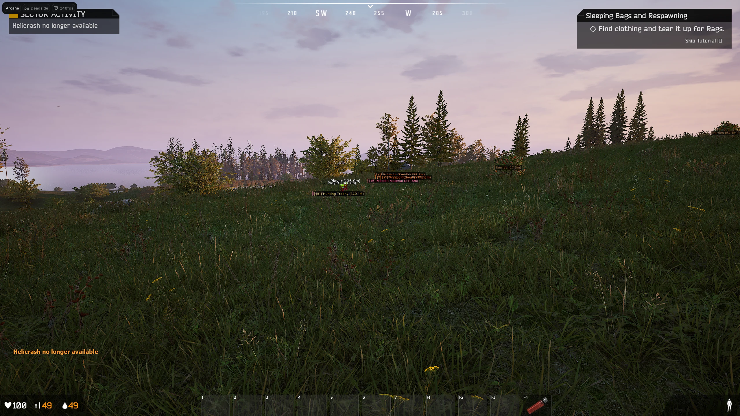 ARCANE Cheat-Menü, Screenshot 1