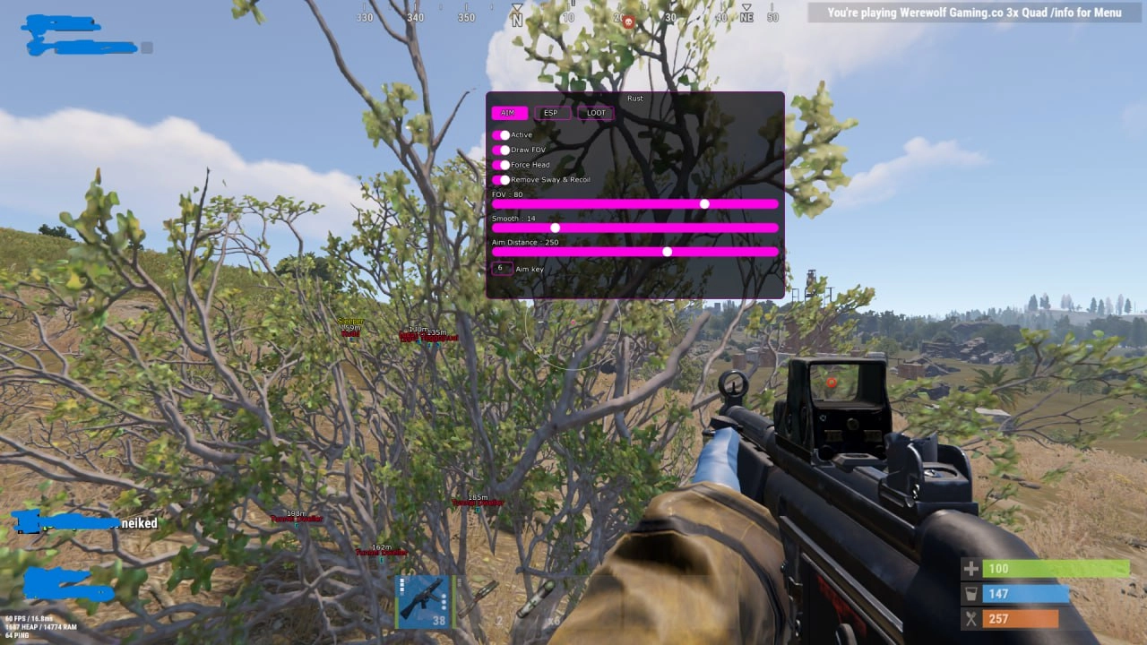 Menu do cheat COVCHEG, captura 1